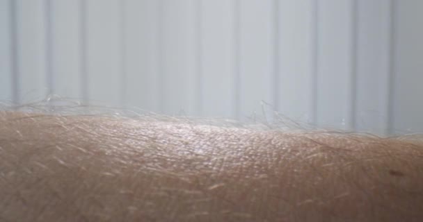 Gros plan mouvement pousse de la peau poilue masculine sur les bras en détail — Video