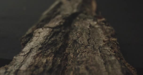 Siyah zemin ihya edilmiş arka plan ile ayrıntılı olarak çatlak ahşap yüzeyin Closeup hareket çekimi — Stok video