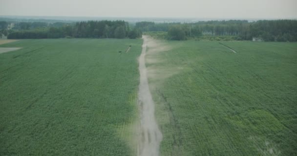 Flygfoto topp skjuta av vägbanan i mitten av grödan fält natur utomhus — Stockvideo