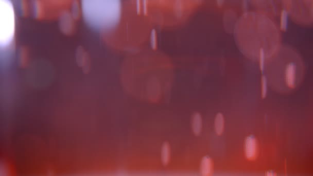 Primer plano de brote de hermosas burbujas de luces rojas y fondo bokeh — Vídeos de Stock