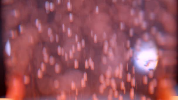 Closeup shoot of beautiful bright red lights bubbles and bokeh background — Stock Video