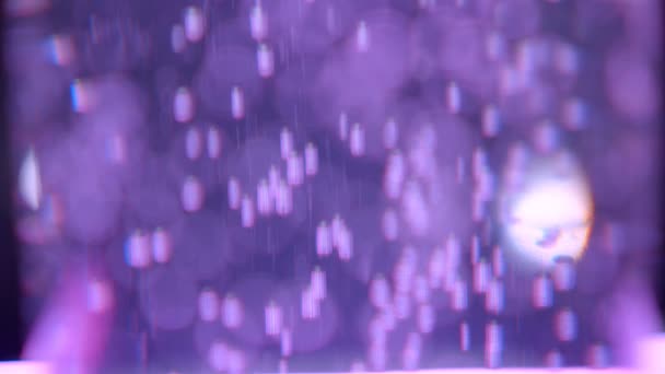 Kloseup střílejí z krásných jasně fialových bublin a pozadí — Stock video
