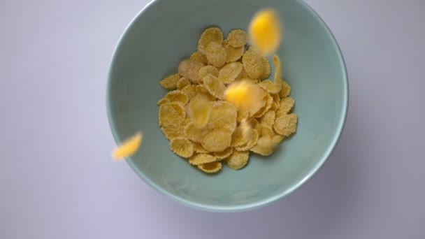 Bir kaseye bırakılan mısır gevreği yakın çekim. Sağlıklı ve lezzetli tüm Amerikan kahvaltı gıda — Stok video