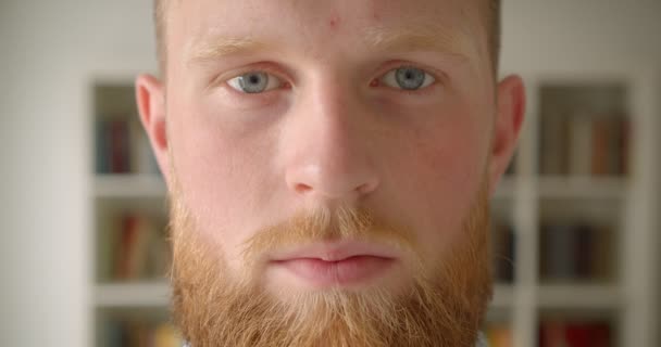 Крупный план портрета рыжеволосого бородатого кавказского студента с улыбкой на лице, весело смотрящего на камеру в библиотеке — стоковое видео