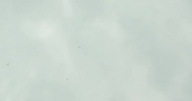 Okyanus suyunda yüzme plastik çöp çekim çekim