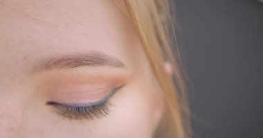 Gri üzerinde izole arka plan ile kamera görünümlü göz ile genç güzel beyaz kadın yüz closeup yarım yüz portre