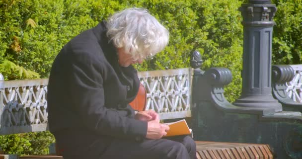 Tiro close-up de velho homem artsy cabelos grisalhos lendo um livro sentado no banco ao ar livre no parque na estação quente primavera — Vídeo de Stock