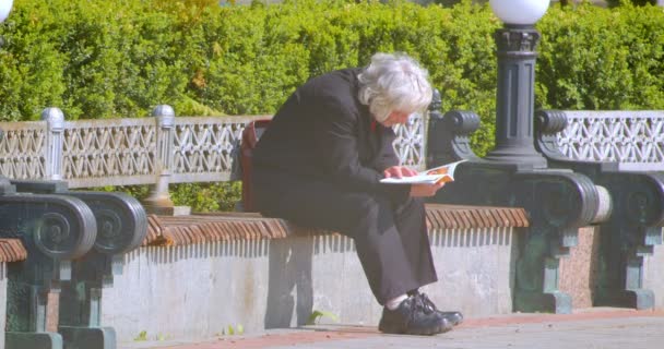 Gros plan pousse de vieux cheveux gris élégant homme lisant un livre assis sur le banc à l'extérieur dans le parc au printemps chaud saison — Video