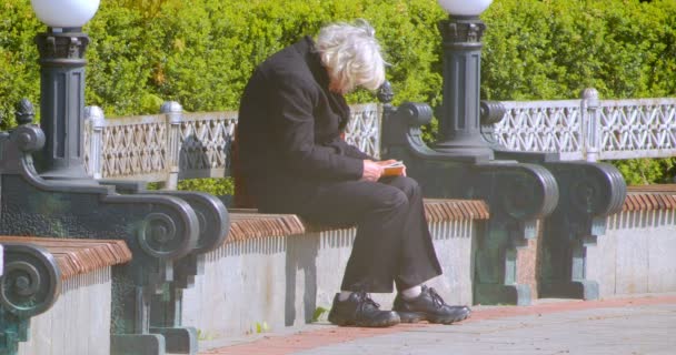 Primer plano de brote de hombre elegante de pelo gris senior leyendo un libro sentado en el banco al aire libre en el parque en la cálida temporada de primavera — Vídeos de Stock