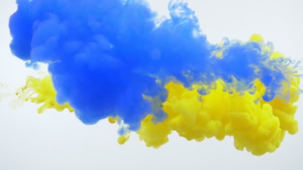 Closeup shoot of yellow and blue watercolor ink splashing and floating in liquid — Stock Video