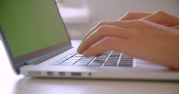 Κοντινό πλάνο της νεαρής καυκάσιας επιχειρηματίας που δακτυλογραφεί σε φορητό υπολογιστή με πράσινη οθόνη αποχρώσεων στο γραφείο σε εσωτερικούς χώρους — Αρχείο Βίντεο