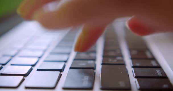 Portrait rapproché d'une femme d'affaires caucasienne utilisant un ordinateur portable avec un écran chromatique vert tapant sur le clavier dans le bureau à l'intérieur — Video