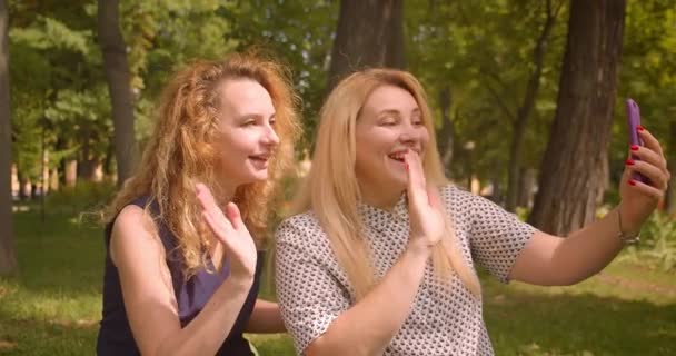Primer plano retrato de dos amigas teniendo videollamada en el teléfono saludando sentado en la manta en el parque al aire libre — Vídeos de Stock