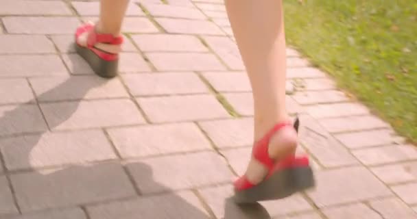 Närbild tillbaka Visa porträtt av unga vackra kvinnliga med röd väska Walking med sin klänning smickrande i vind i Park utomhus — Stockvideo