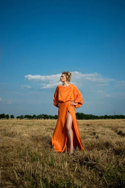 Maravillosa Chica Con Piernas Increíbles Vestido Largo Sobre Fondo Campo — Foto de Stock