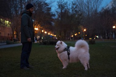 Park sahibi beyaz samoed köpek