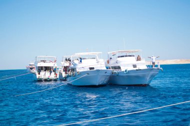 Tekneli güzel bir kızıl deniz manzarası. Beyaz yatlar. Mercan kayalıkları. Harika bir tatil. Egzotik bir ülkeye gidiyor. Mısır