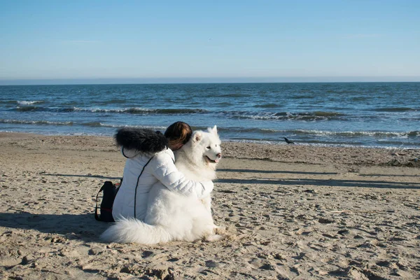 Jonge Vrouw Zitten Met Samoyed Hond Het Strand — Stockfoto