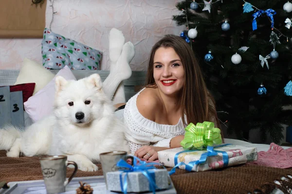 Красивая Девушка Белых Чулках Самоед Собака Фоне Нового Года Рождественский — стоковое фото