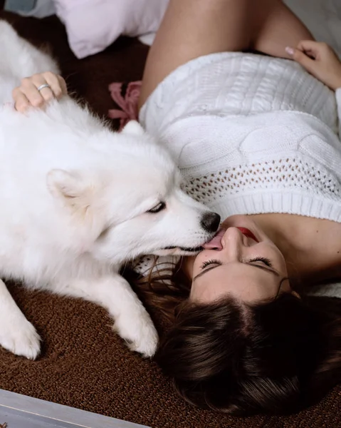 Beyaz çoraplı güzel bir kız ve yeni yılın arka planında Samoyed köpeği, Noel dekoru. Samoyed ve yatakta güzel genç bir kadın.