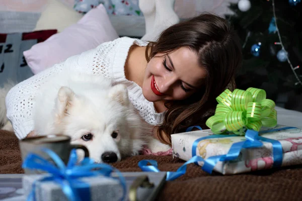 白いストッキングと新年の背景に対するサモイドの犬の美しい少女 クリスマスの装飾 ベッドのサモイドと美しい若い女性 — ストック写真