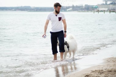 Sahilde top ve samoed köpek oynayan bir adam.