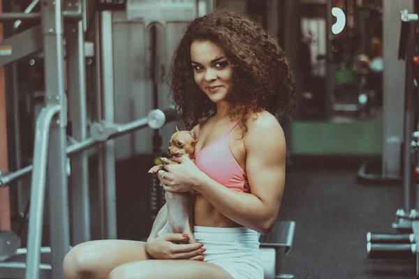 Spor Salonunda Köpekli Seksi Kıvırcık Kız Chihuahua Kadın — Stok fotoğraf