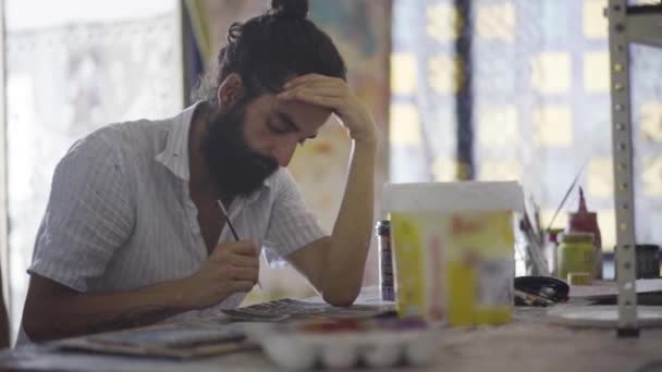 Artist Painting Brush — Stock Video