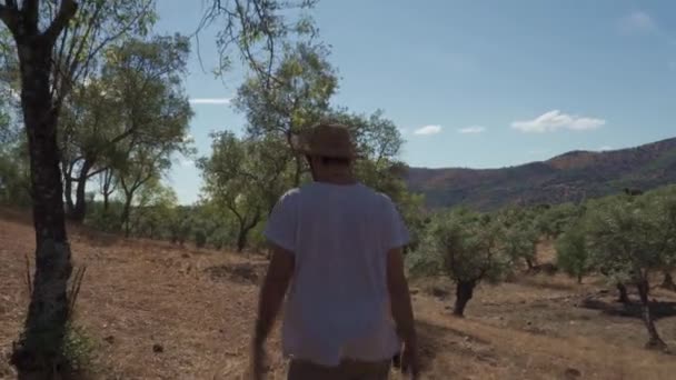 Bonde Genom Hans Gård Ekologiska Olivträd — Stockvideo