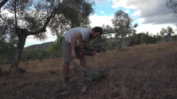 Homme Ramassant Bois Chauffage Sur Terrain — Video
