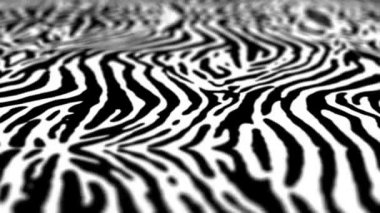 Siyah ve beyaz zebra animasyon desen