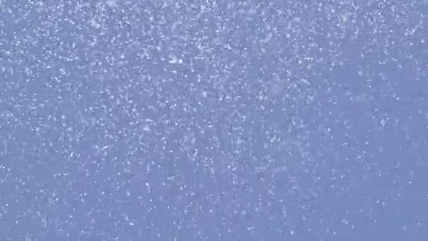 青い背景の本当の白い粒子 — ストック動画