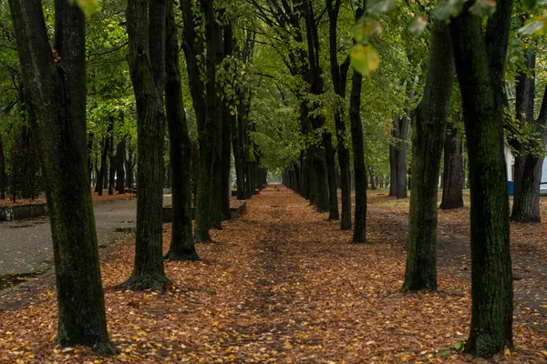 Path Autumn Park — Stock Photo, Image
