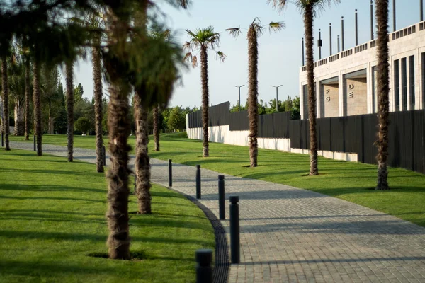Şehre park et.