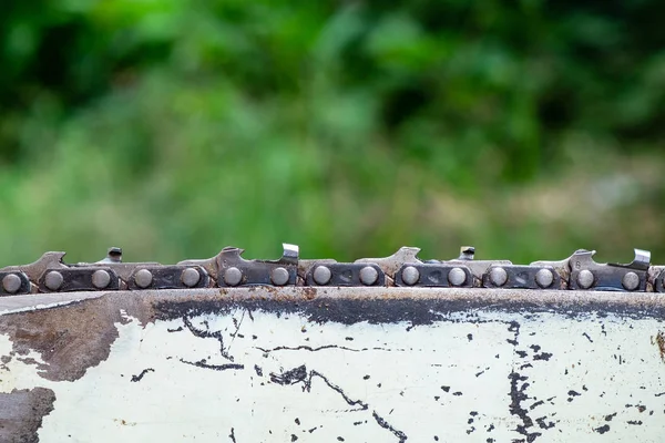 Kettensägeblatt Nach Dem Einsatz Auf Waldhintergrund Professionelle Ausrüstung Zum Fällen — Stockfoto