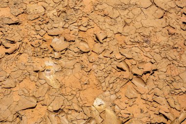 Kırık dünya doku arka plan, sıcak çorak ortamı arazi doku.