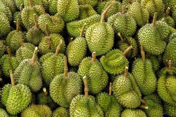 Grupo Alta Qualidade Bela Durian Maduro Mercado — Fotografia de Stock