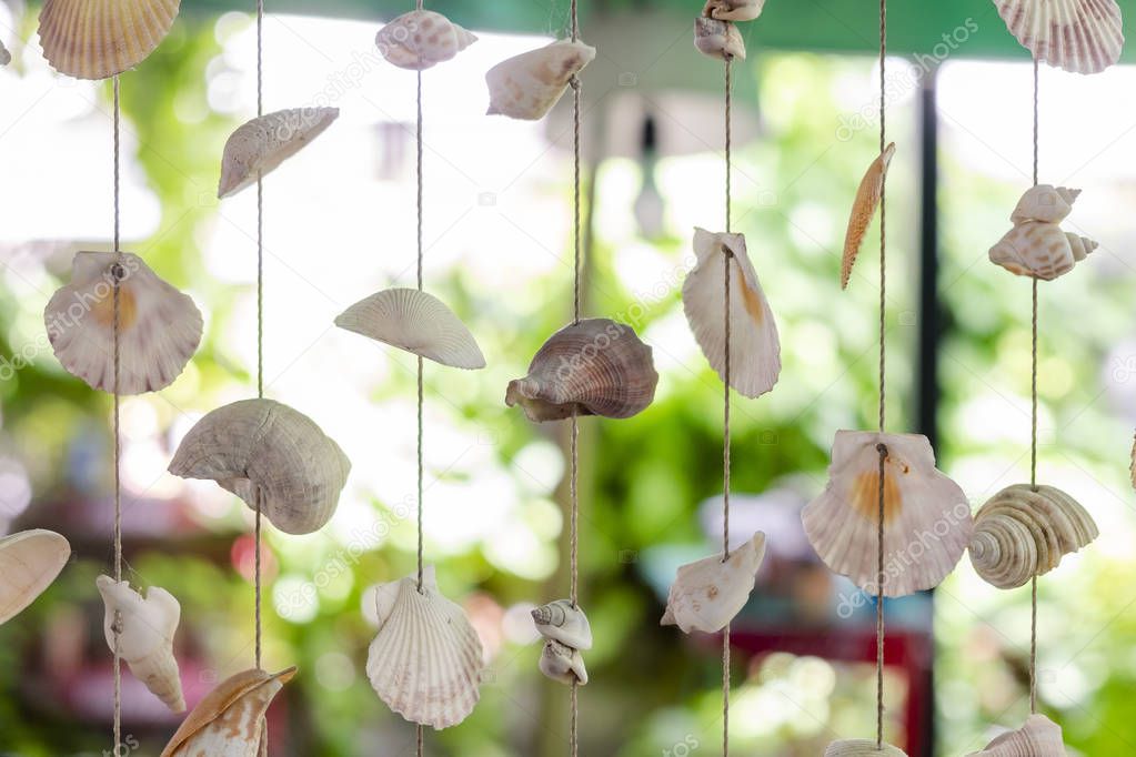 Curtains blinds From Various Sea Shells. in the Outdoor Garden.