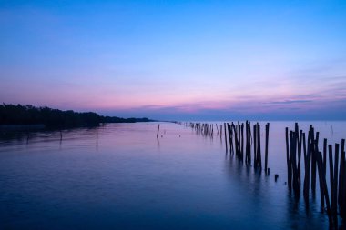 Eski antika bambu dalga koruma duvarı sabah gündoğumu denizde.