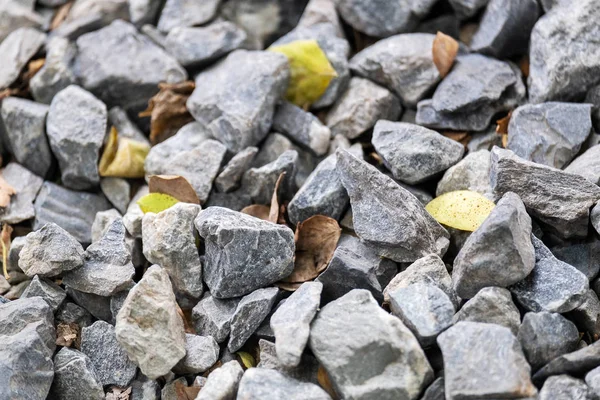 Close Up of Stone Ground in the Outdoor Garden