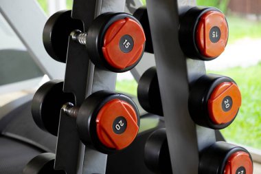 Spor Salonunda Güç Rafı Üzerinde Kauçuk Kapak Dumbell