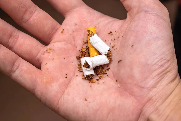 Homem Asiático Destruindo Cigarro em Sua Mão. Imagem de conceito . — Fotografia de Stock