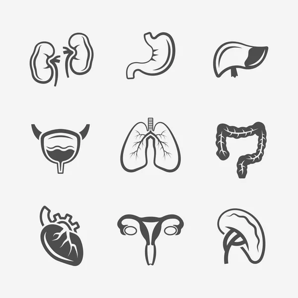 Organi interni umani icone mediche vettoriali — Vettoriale Stock
