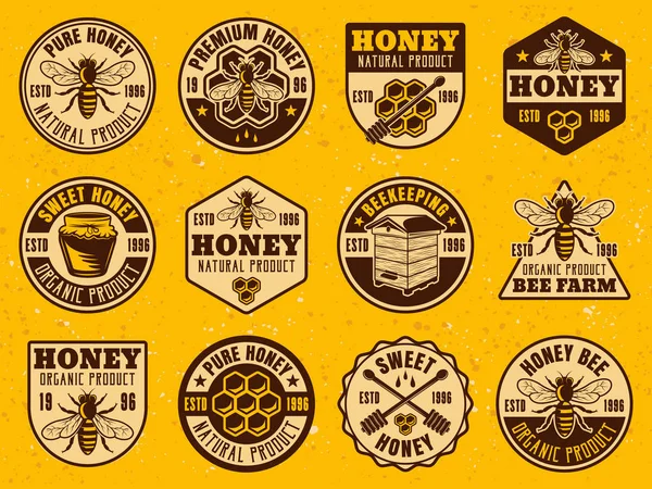 벌 꿀 색깔 밝은 배지, 스티커, 엠 블 럼 — 스톡 벡터