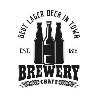 Bira vektör amblemi üç şişe izole ile