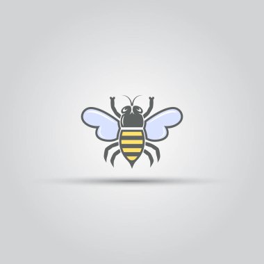 Arı izole vektör renkli simge