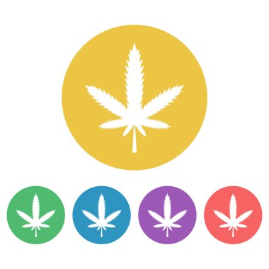 Marihuana yaprağı vektör yuvarlak simgeler renkte ayarla