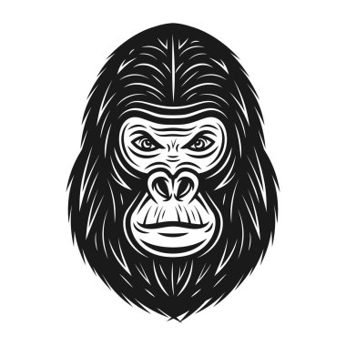 Goril baş vektör çizim vintage tarzı