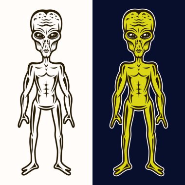 İki biçimli uzaylı vücudu siyah ve renkli vektör