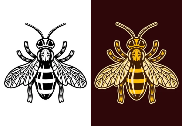 Honey bee two styles black and colorful vector — Stock Vector